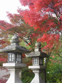 西江寺の画像