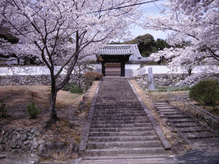 大念寺の画像