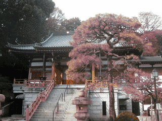 地福寺の画像