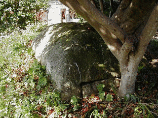 仏陀寺の画像
