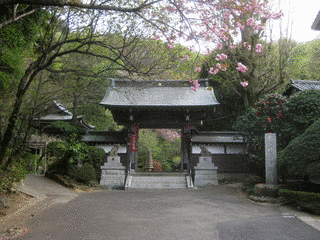妙見寺の画像
