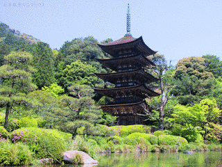 瑠璃光寺の画像