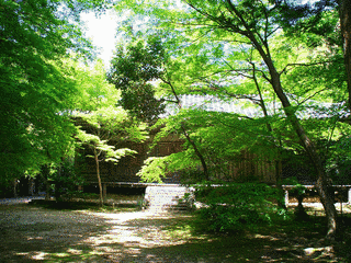 蓮花寺の画像