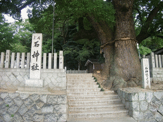 知識寺の画像