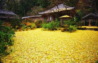 戒長寺の画像