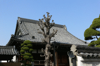 光慶寺の画像