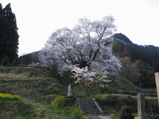 仏隆寺の画像