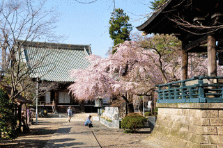 宝幢寺の画像
