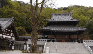 妙教寺の画像