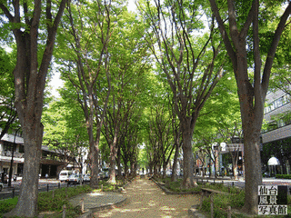 宮崎県の寺の画像