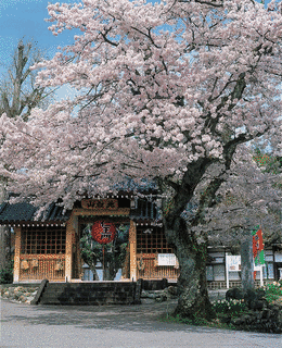 各願寺の画像