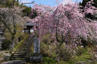 福徳寺の画像