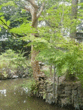 深向院の画像