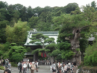 長谷寺の画像