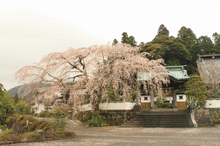 内船寺の画像