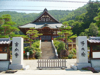 道樹寺の画像