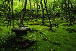 祇園寺の画像