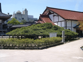 千年寺の画像
