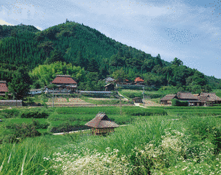 八塔寺の画像