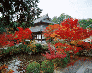 宝福寺の画像