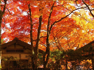 長安寺の画像