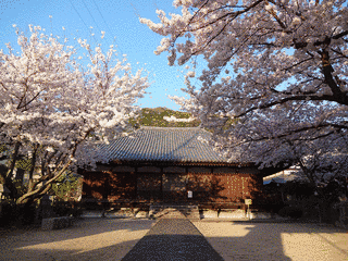 西郷寺の画像