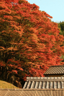 法常寺の画像