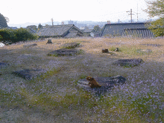 宮の前廃寺跡の画像