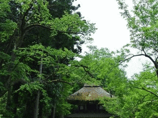 広徳寺の画像