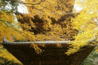 西山興隆寺の画像