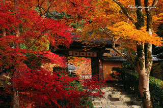 寂光院の画像