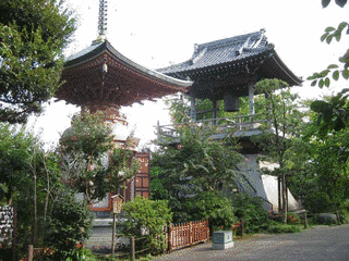 乗蓮寺の画像