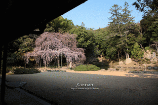 曹源寺の画像