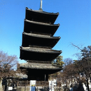 大智院の画像