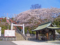 成田山名古屋別院大聖寺の画像