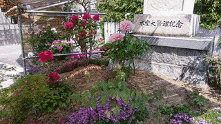 五智院の画像