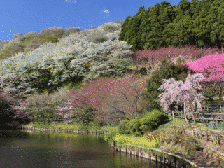 最明寺の画像