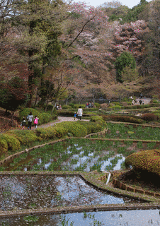 宏善寺の画像