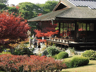 禅林寺の画像