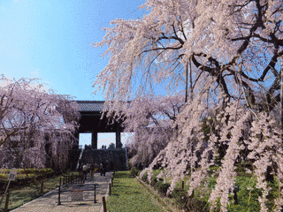 東郷寺の画像