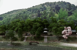 樺崎寺の画像