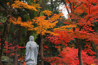 西明寺の画像