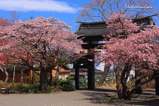 誠諦寺の画像