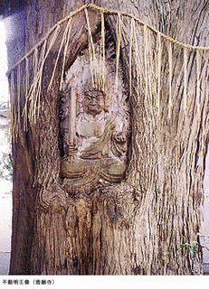 善願寺の画像