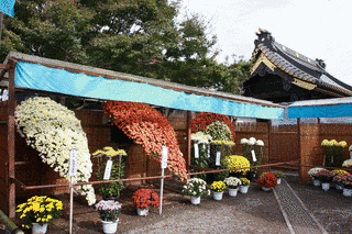 惣宗寺の画像