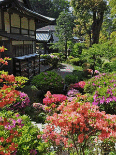 仏行寺の画像