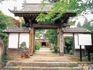 桃林寺の画像