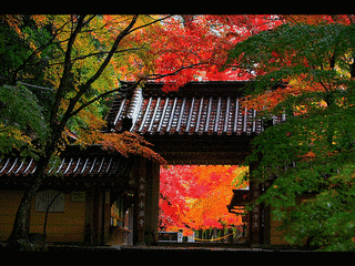 永源寺の画像