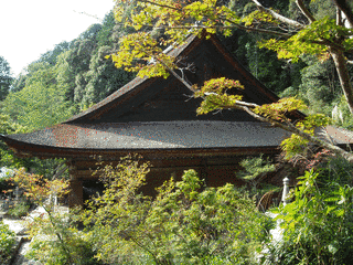 桑実寺の画像