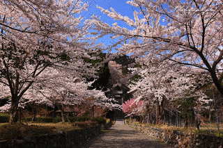 酒波寺の画像
